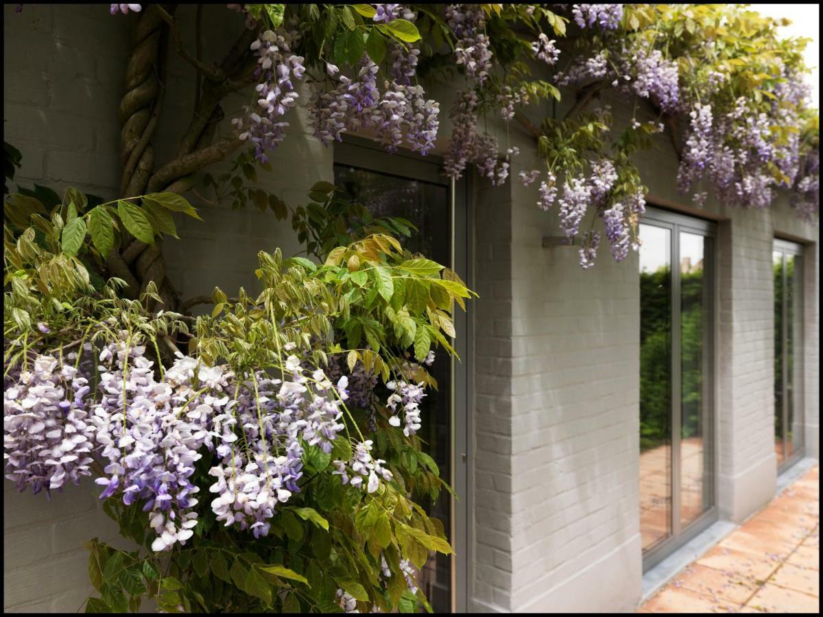 Aartrijke Rooseboom22 B&B 외부 사진
